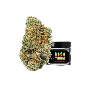 Purple Mimosa Marijuana Strain