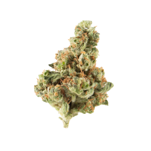 GMO Garlic Cookies Marijuana Strain