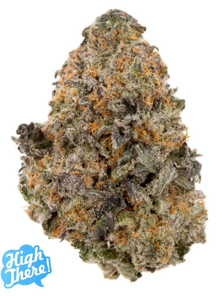 indica strain