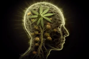 Cannabis-Mental-Health