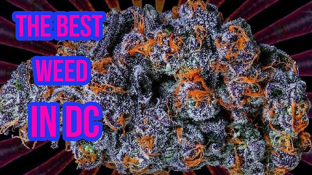 Popular Strains in DC