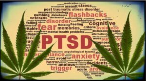 Treatment for PTSD