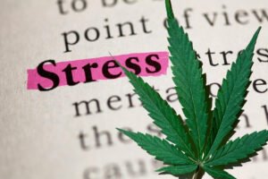 cbd-for-stress