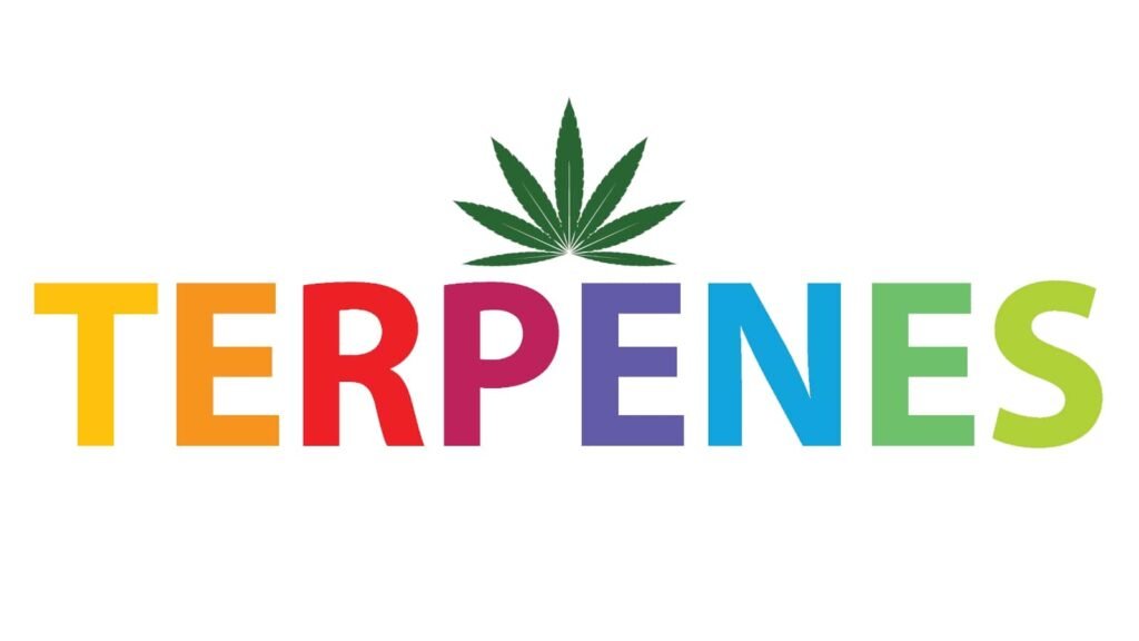 terpenes-main