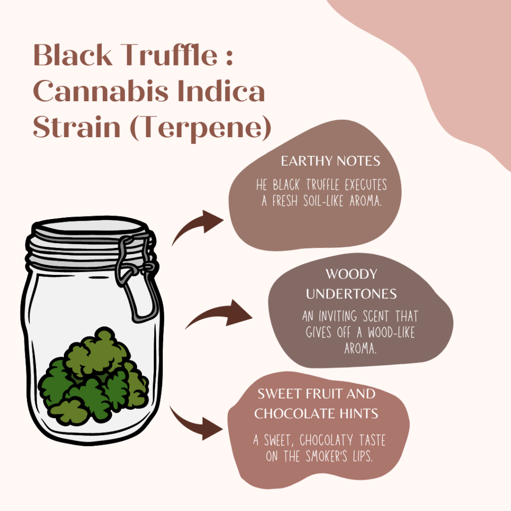 black truffle strain terpene