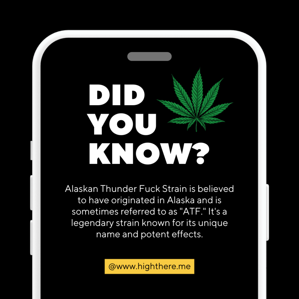 Alaskan Thunder Fuck starin