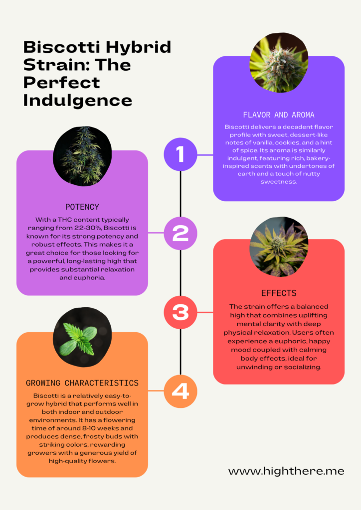 Biscotti hybrid strain key characteristics