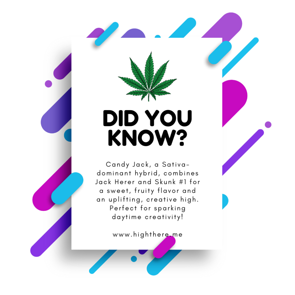 candy jack strain facts