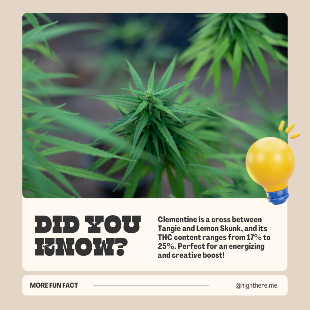 Clementine Strain Facts