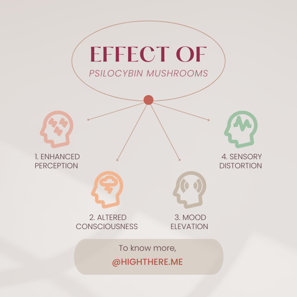 Explaining the Effects of Psilocybin Mushrooms