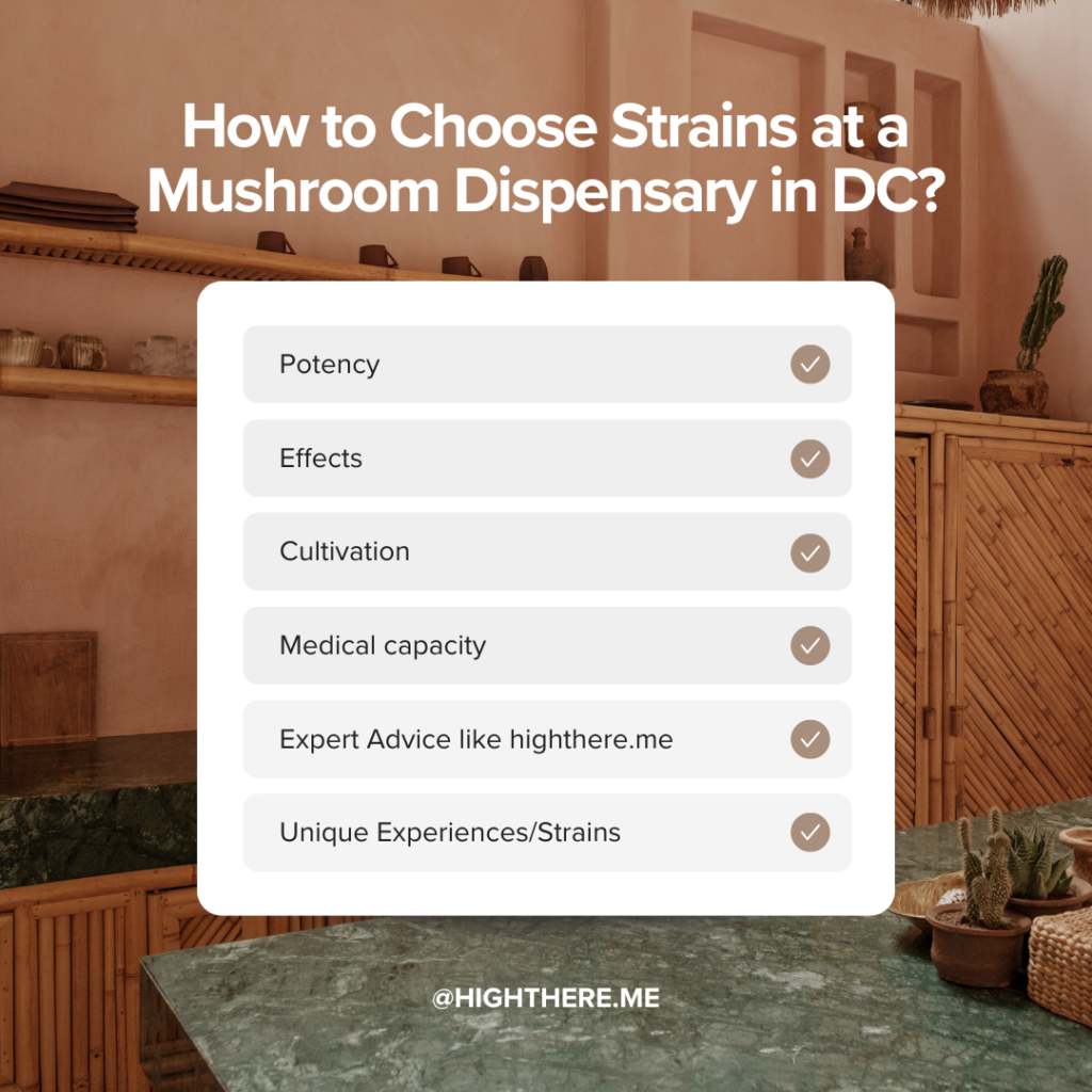 How to Choose Strains at a Mushroom Dispensary in DC?