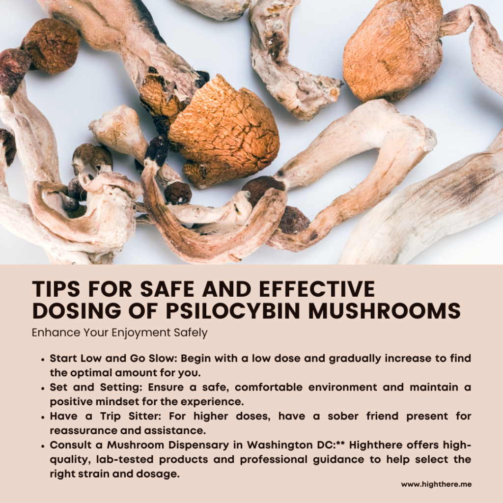 Tips For Safe Mushroom dosing