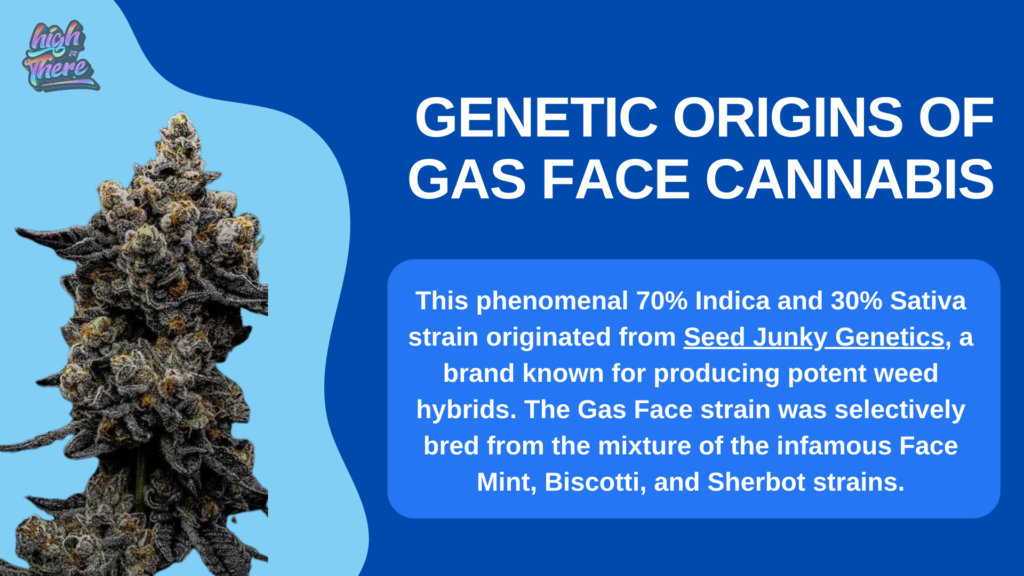 origin of the gas face strain