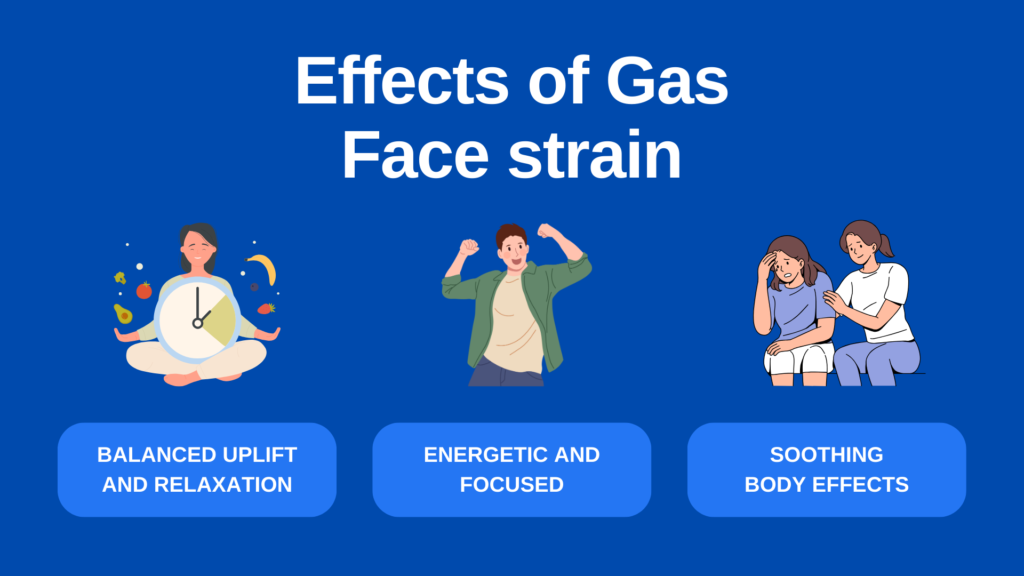 gas face strain effects