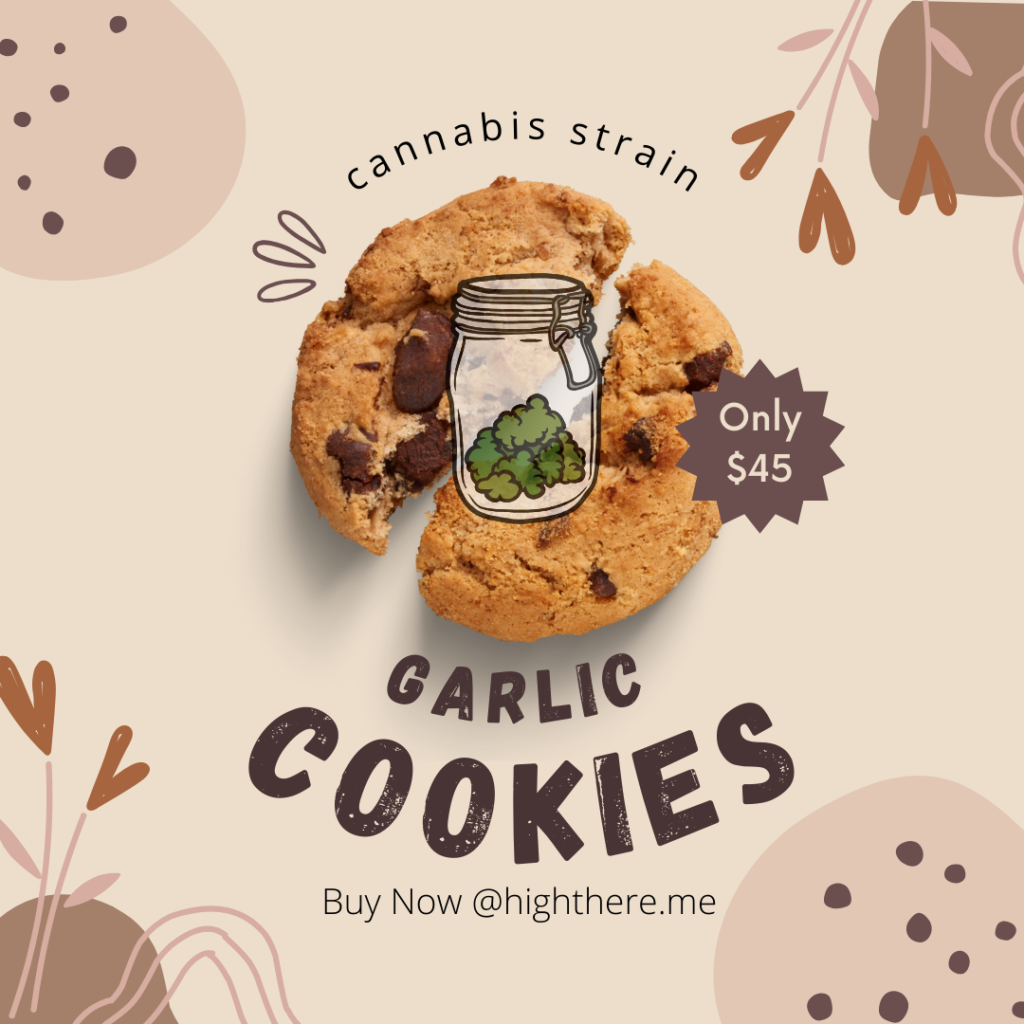 Buy Garlic Cookies strain