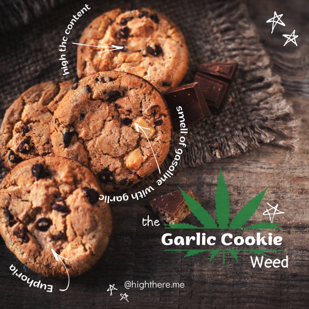 Garlic Cookies weed