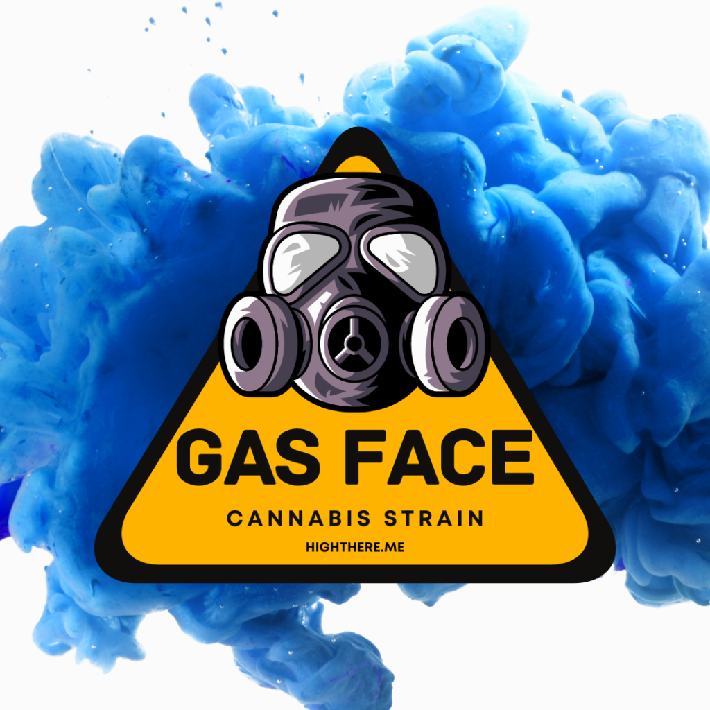 Gas face cannabis strain