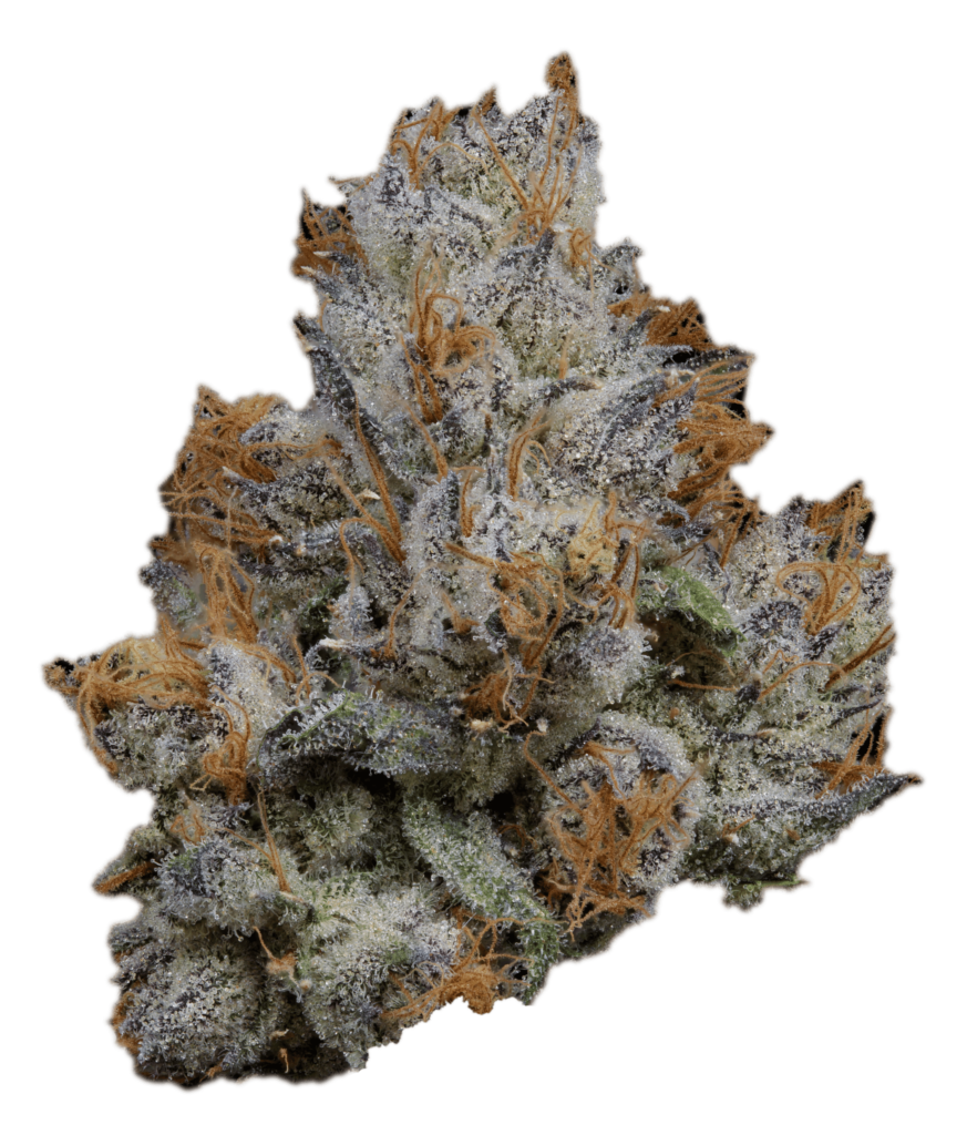 Lemon Cherry Gelato