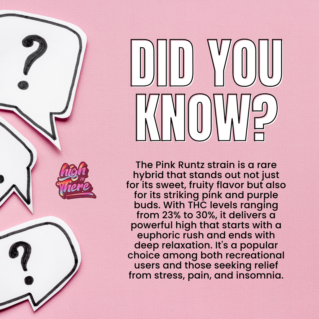 Pink Runtz Strain Balanced Hybrid With Sweet Fruity Flavor