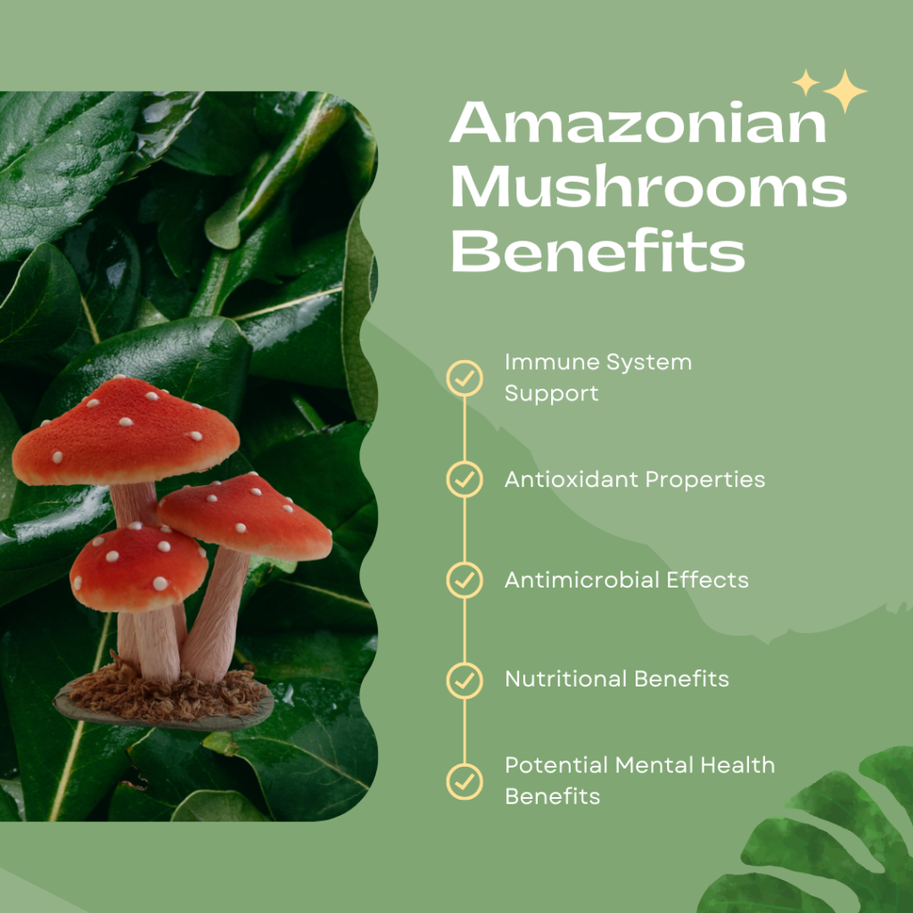 amazonian mushroom benefits