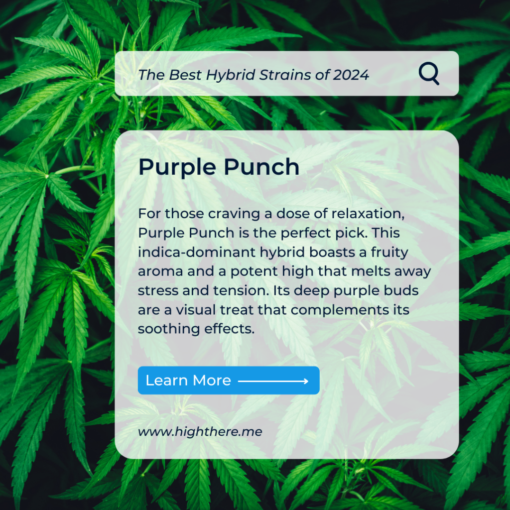 Purple Punch Strain