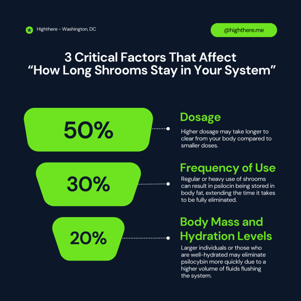 How Long Do Shrooms Stay in Your System