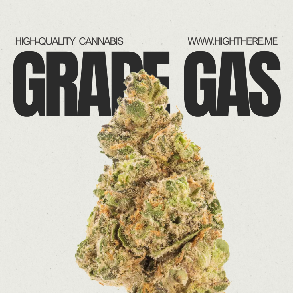 Grape Gas Strain