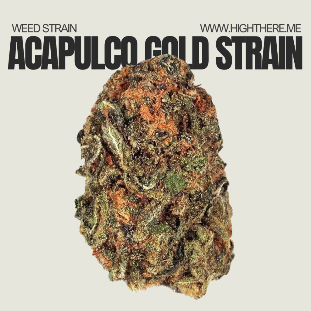 Acapulco Gold Strain