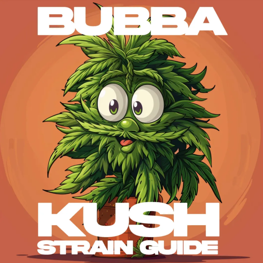 Bubba Kush Weed Strain 