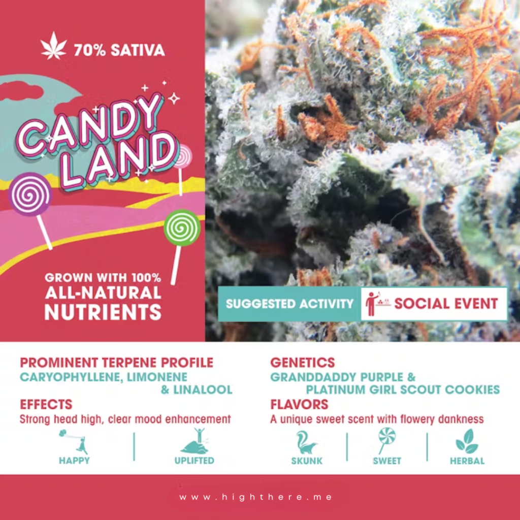 Candyland weed strain