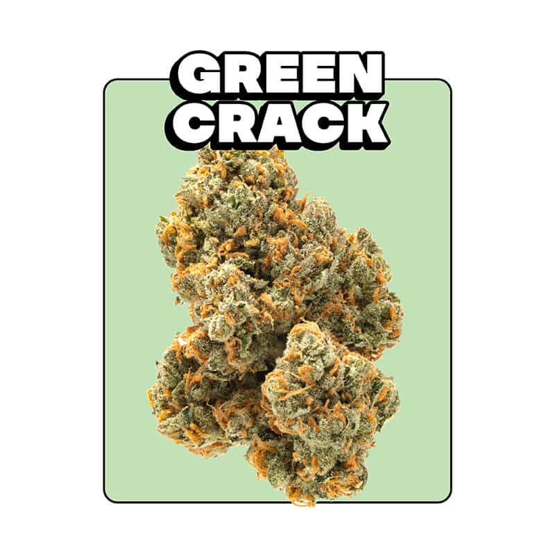 Green Crack Strain