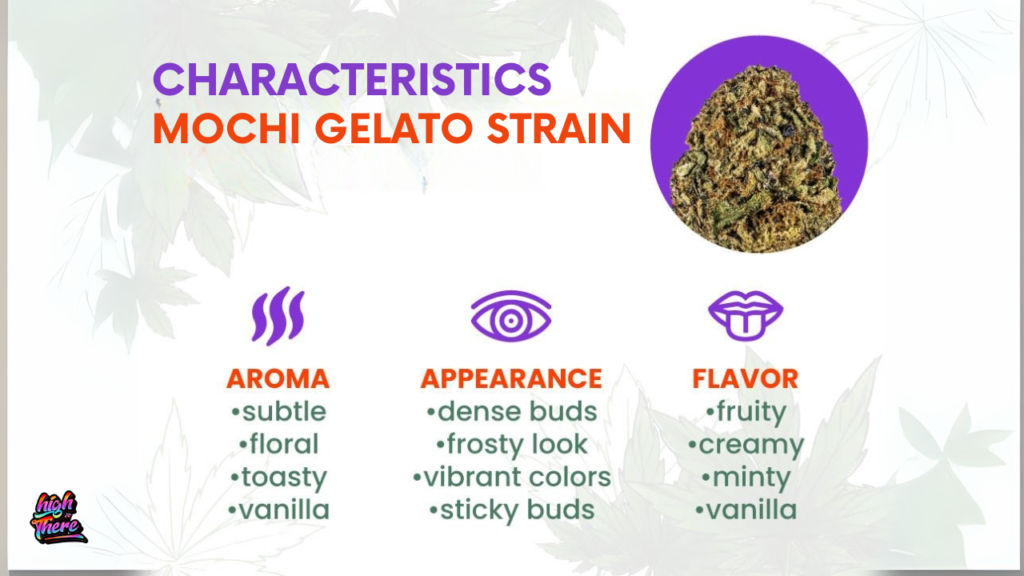 Mochi gelato weed Strain 