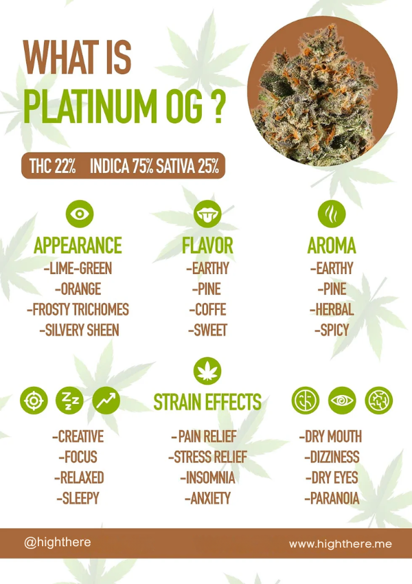 Platinum OG Weed Strain