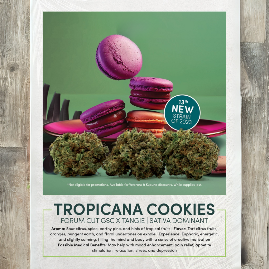 Tropicana Cookies Weed Strain