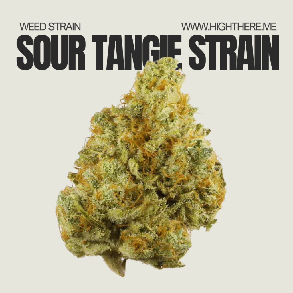 sour tangie strain 