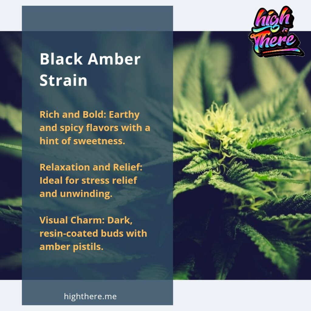 Black amber strain