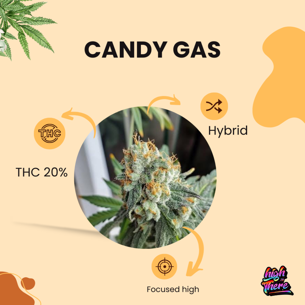 Candy Gas 1