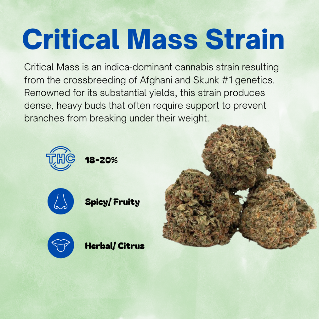 Critical Mass Strain 1