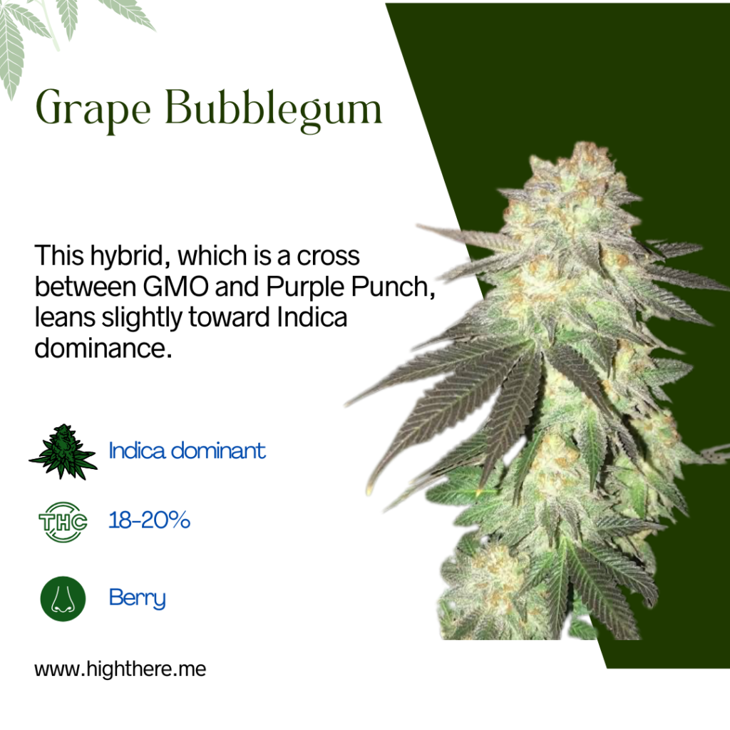 Grape Bubblegum 1