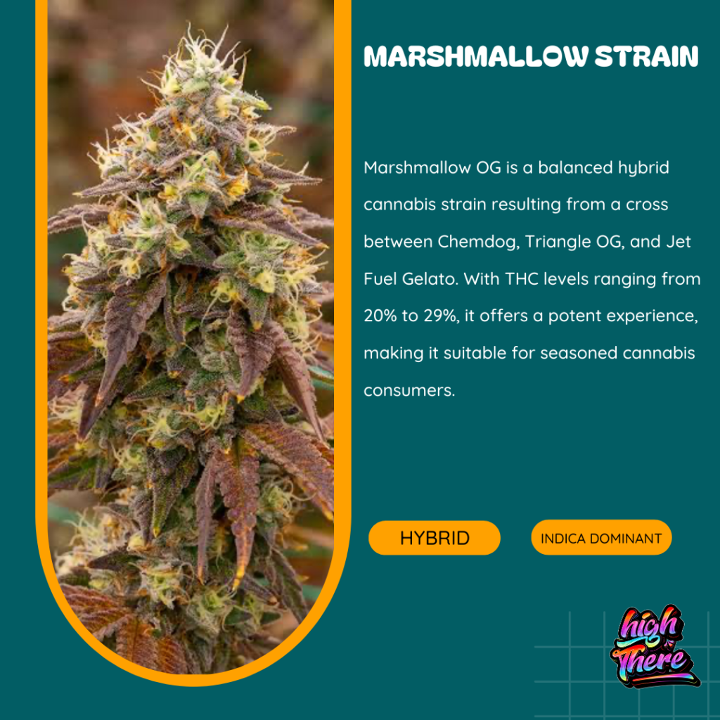 Marshmallow strain 2