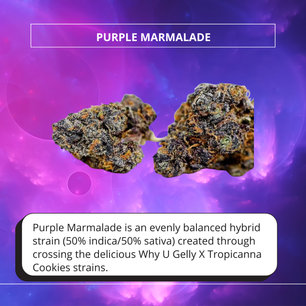 Purple Marmalade 1