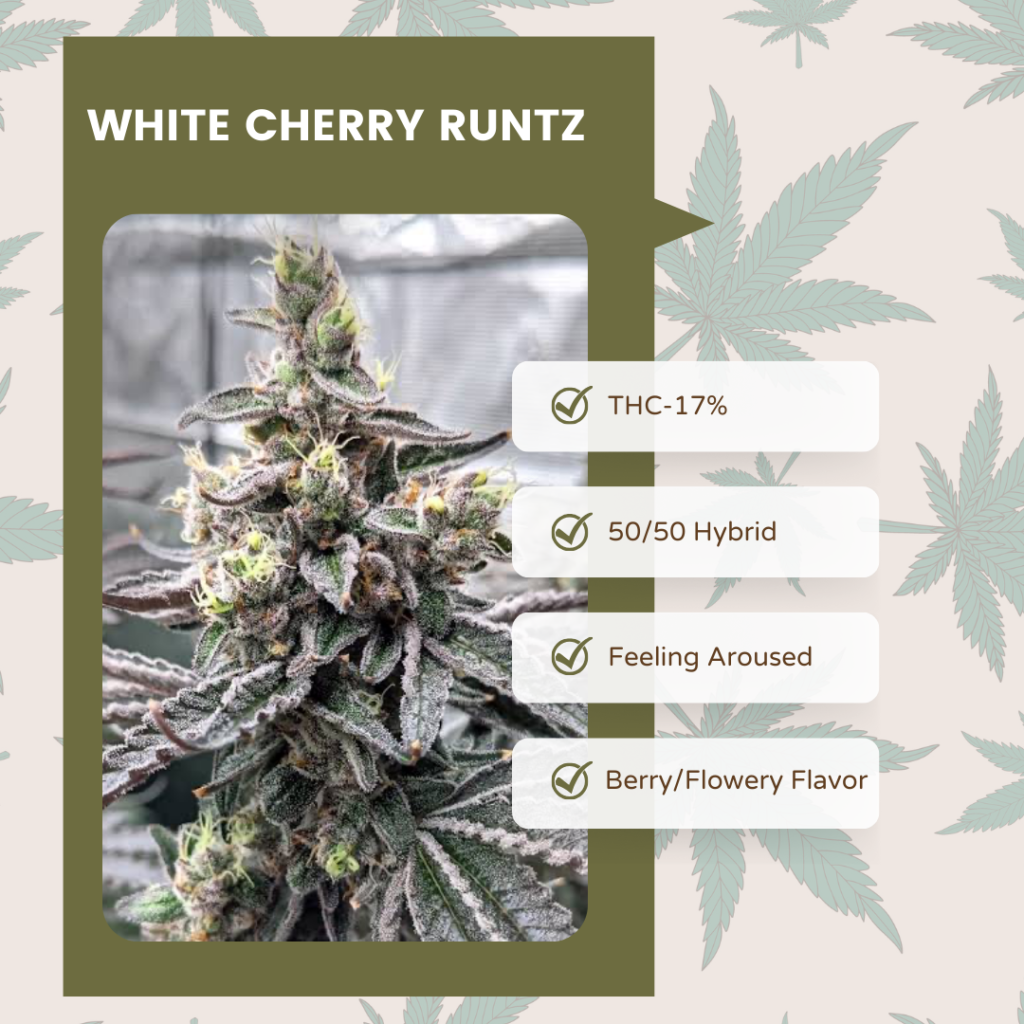 White Cherry Runtz 2