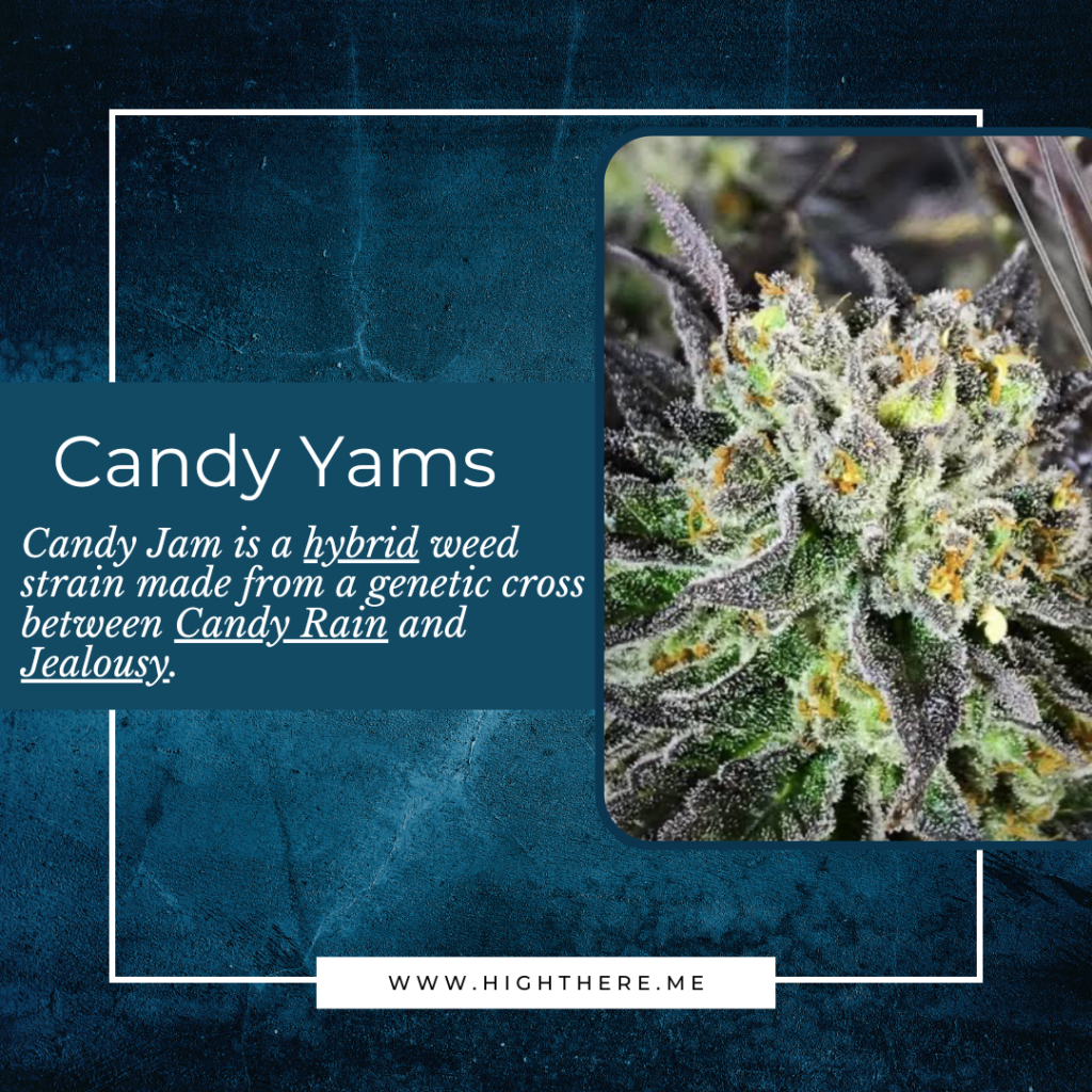 candy yams 2