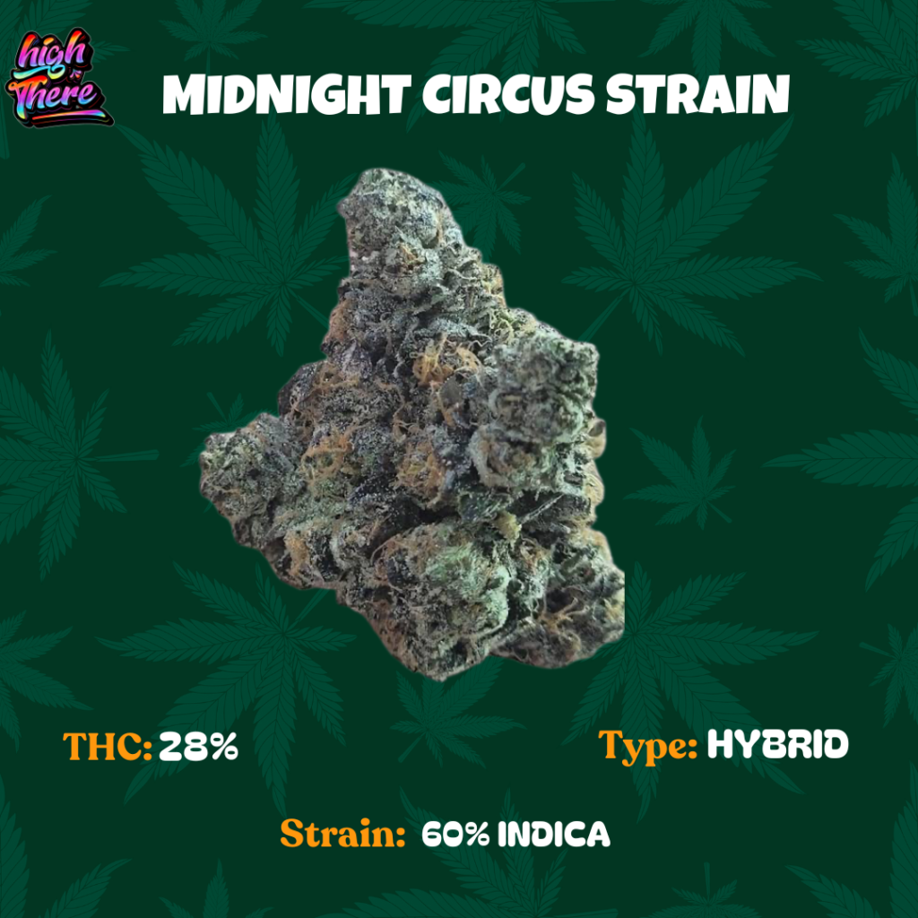 midnight circus strain 1