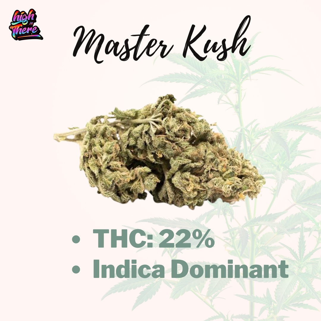 Master Kush Strain Review - Effects, Flavor & Where to Buy