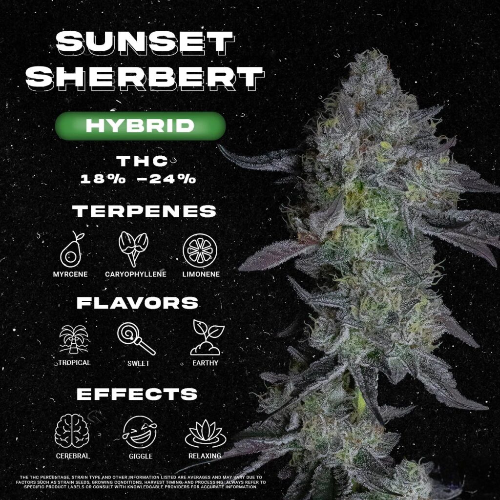 sunset sherbet strain info