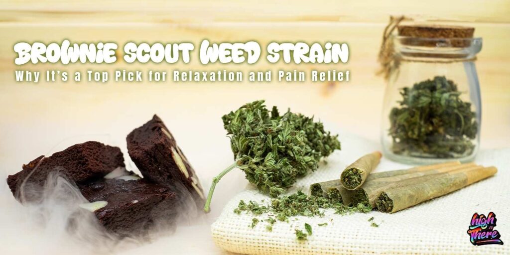 Brownie Scout Strain Effects