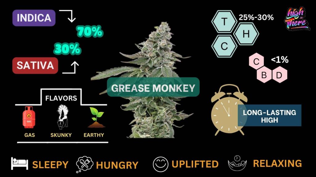 Grease monkey strain effects 