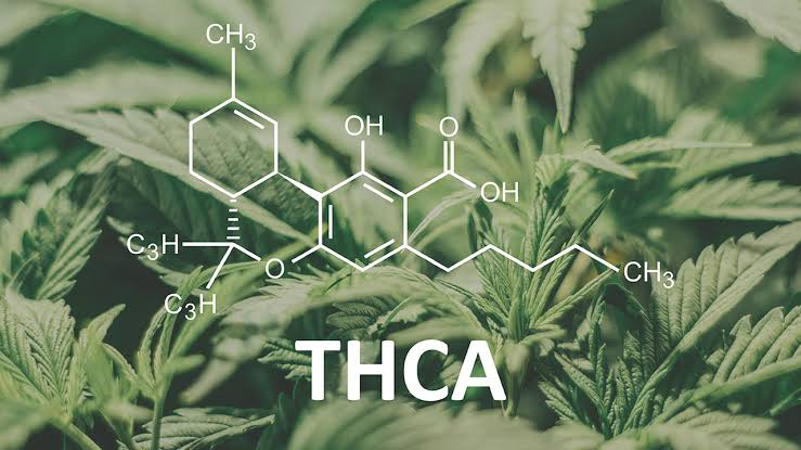 best THCa cannabis strain 