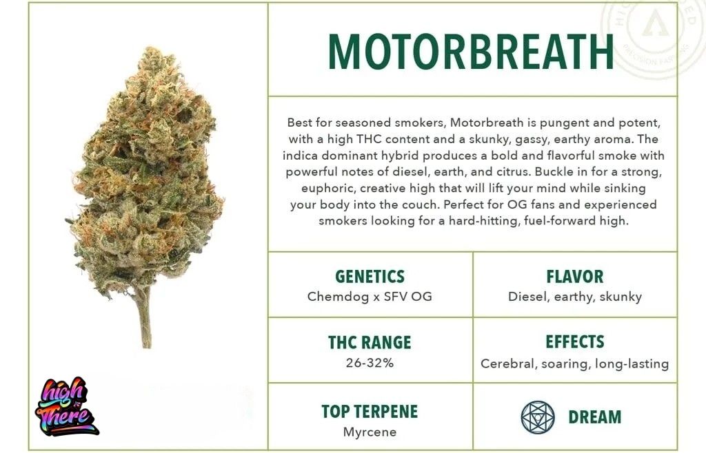 Motorbreath strain indica or sativa